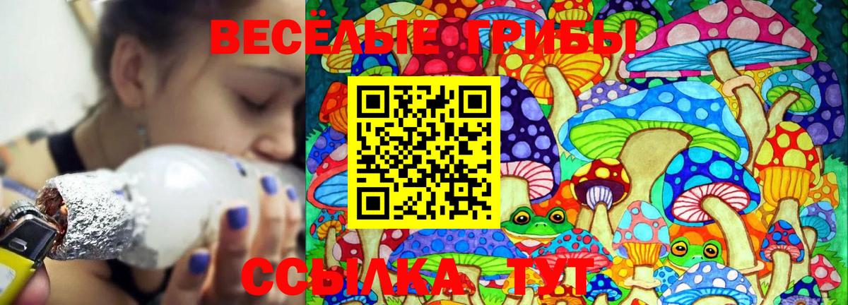 Псилоцибиновые грибы мицелий  Вход с VPN  Йошкар-Ола 