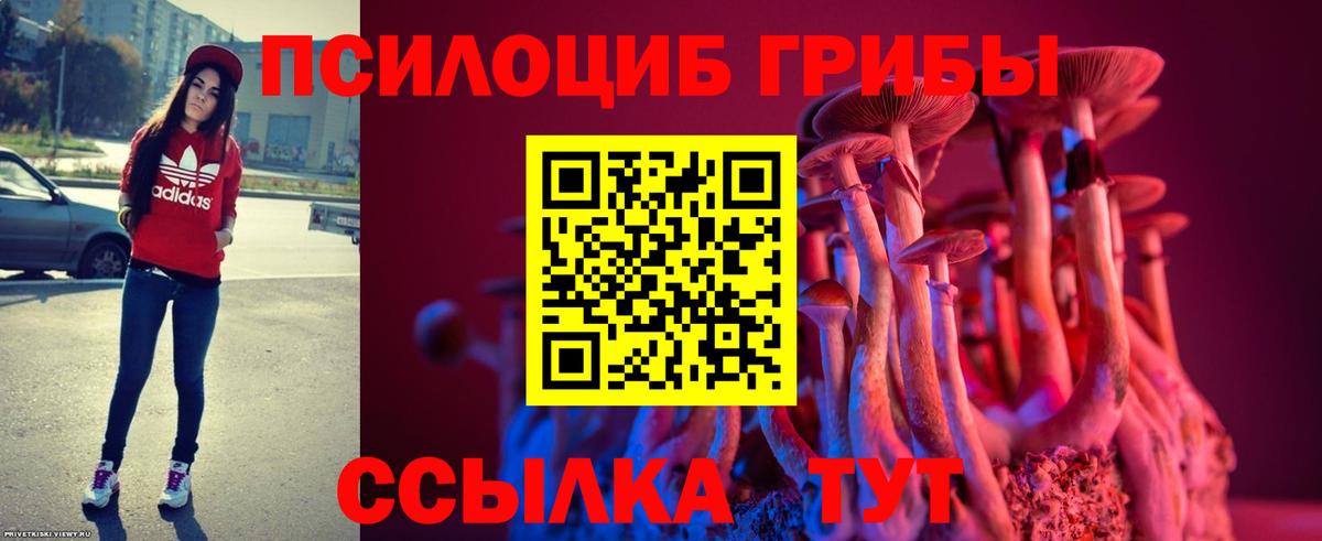 Псилоцибиновые грибы Magic Shrooms Йошкар-Ола